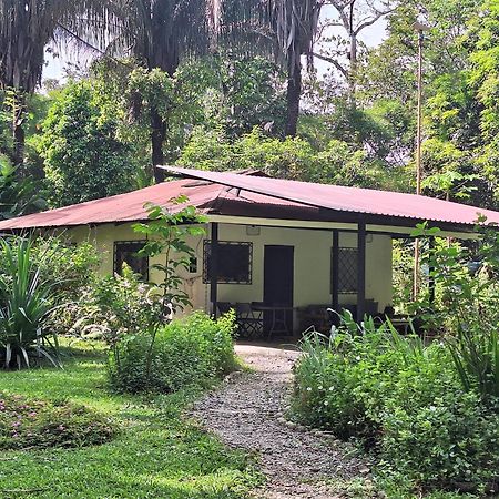 Four Monkeys Eco Lodge Jungle & Beach - The House Cabo Matapalo Екстериор снимка