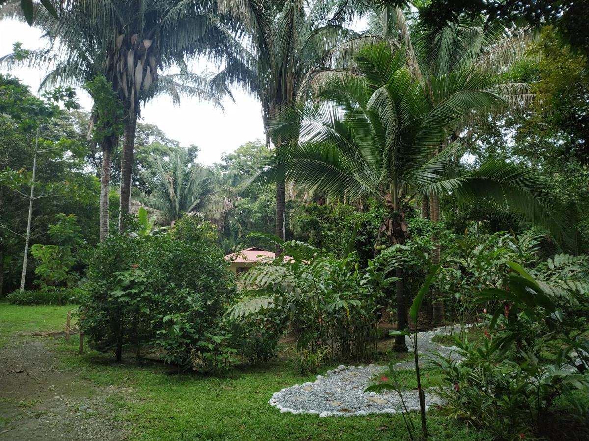 Four Monkeys Eco Lodge Jungle & Beach - The House Cabo Matapalo Екстериор снимка