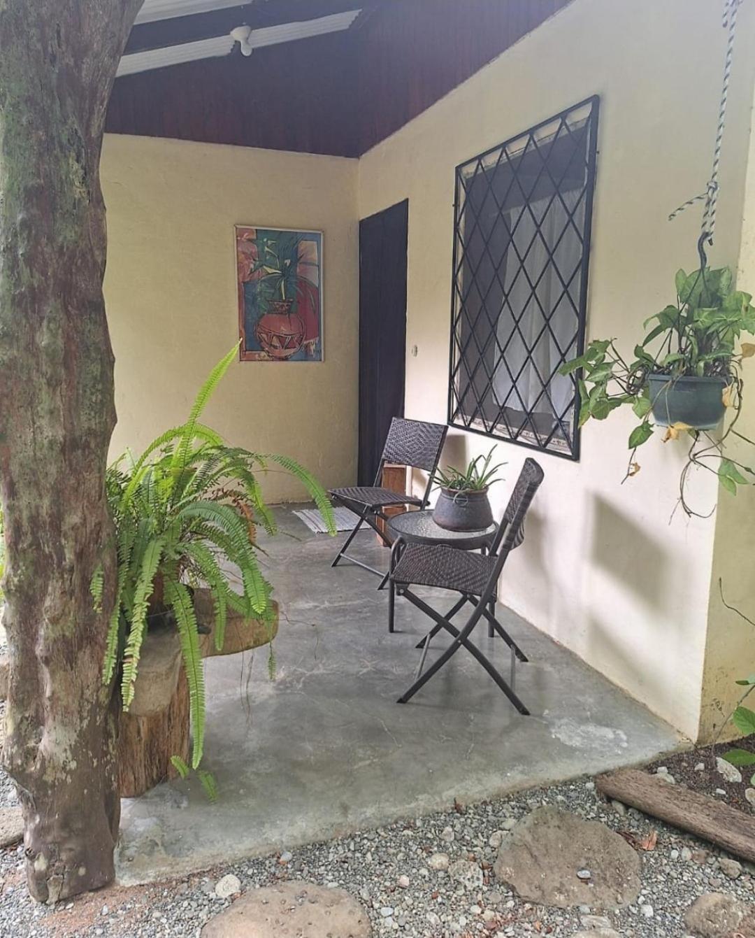 Four Monkeys Eco Lodge Jungle & Beach - The House Cabo Matapalo Екстериор снимка