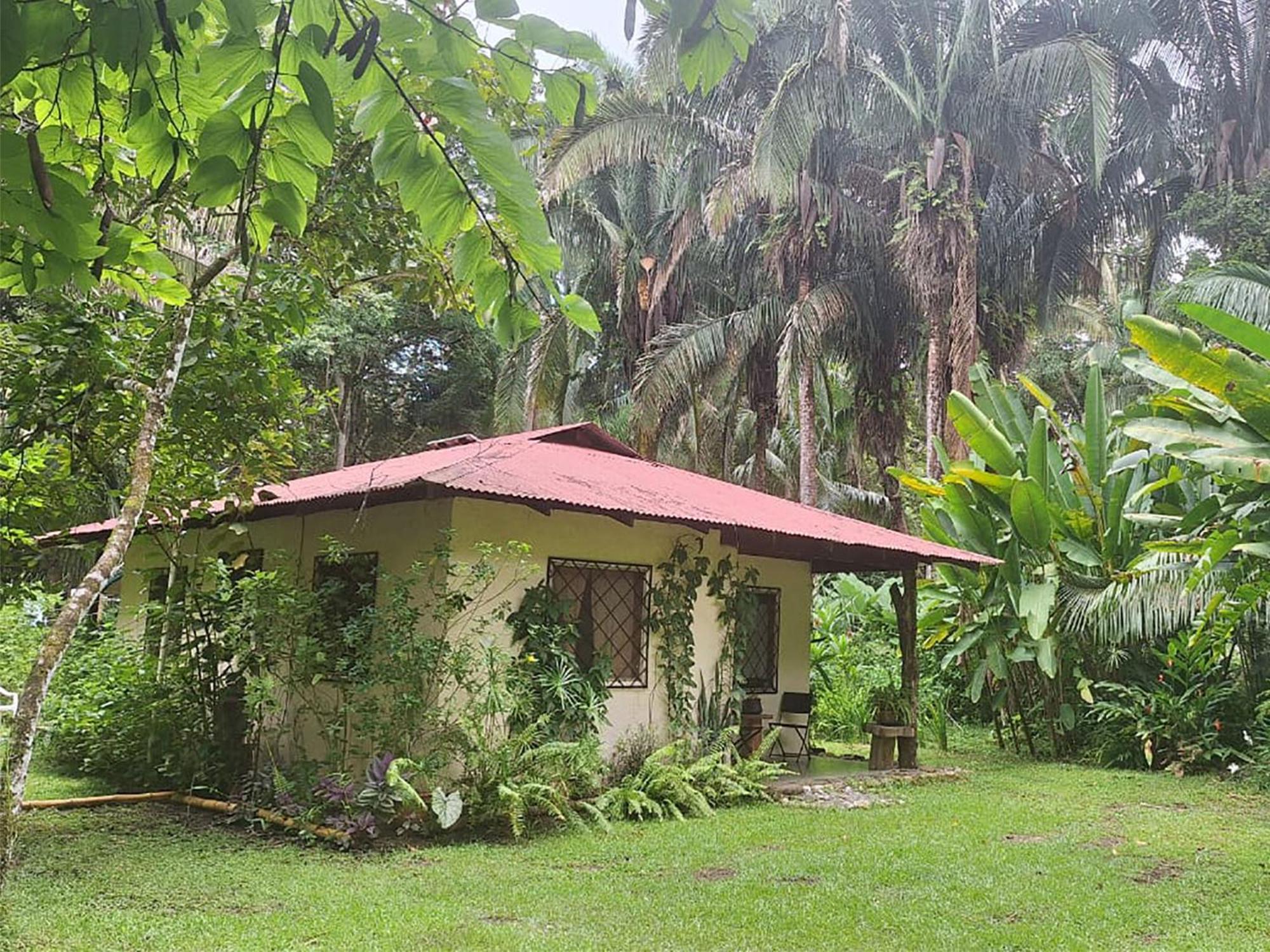 Four Monkeys Eco Lodge Jungle & Beach - The House Cabo Matapalo Екстериор снимка