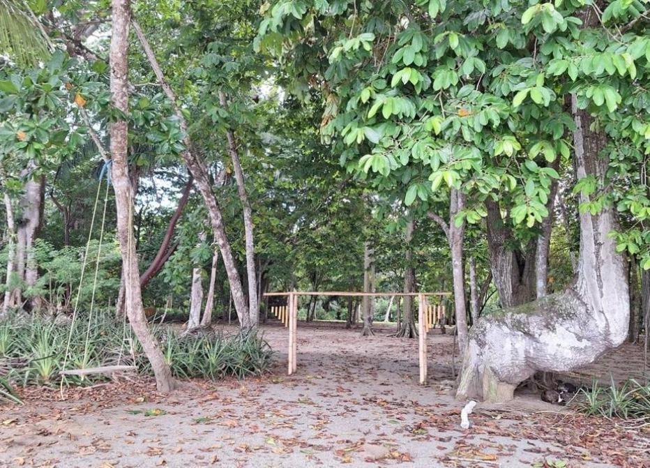 Four Monkeys Eco Lodge Jungle & Beach - The House Cabo Matapalo Екстериор снимка