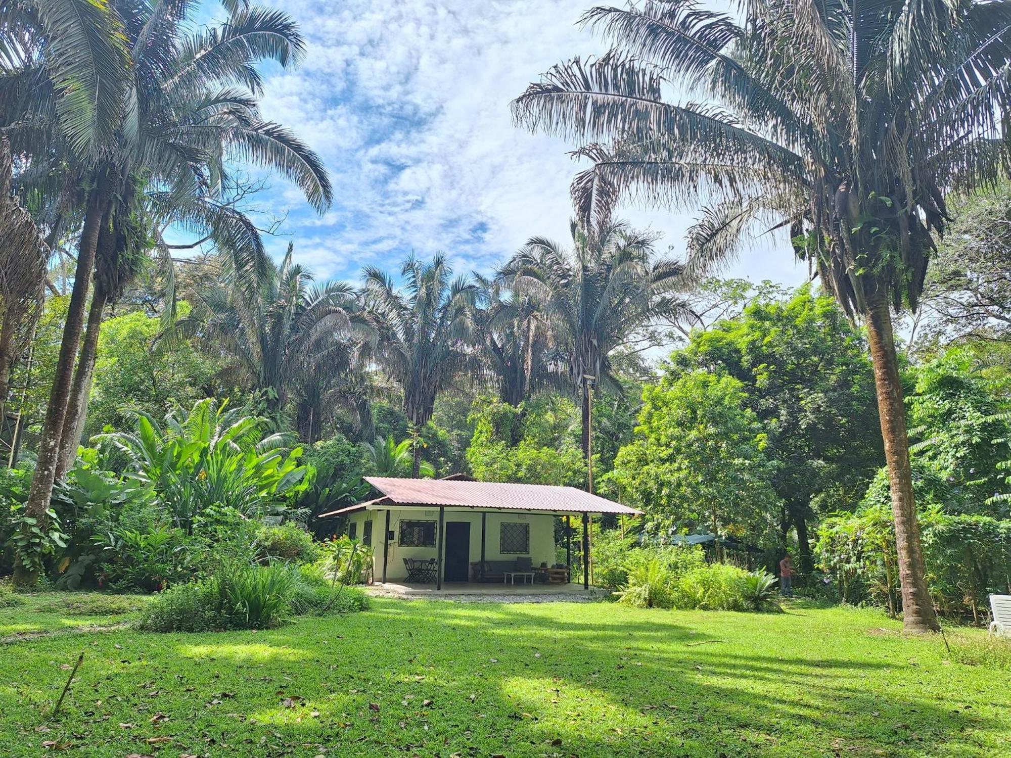 Four Monkeys Eco Lodge Jungle & Beach - The House Cabo Matapalo Екстериор снимка