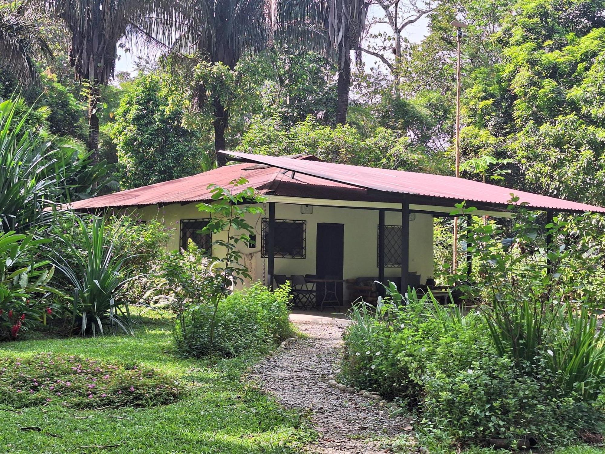 Four Monkeys Eco Lodge Jungle & Beach - The House Cabo Matapalo Екстериор снимка